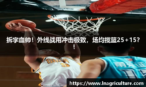 JJB竞技宝官网