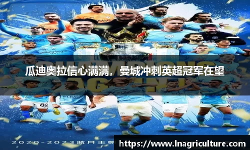 JJB竞技宝官网