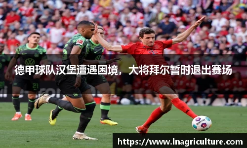 竞技宝官网