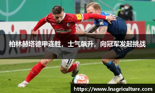 JJB竞技宝官网