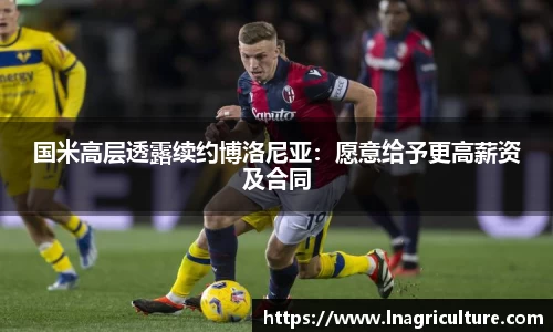 竞技宝JJB