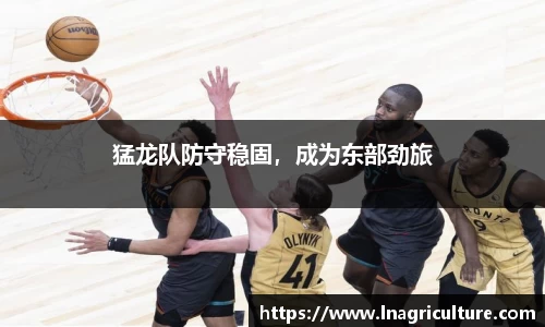 JJB竞技宝官网