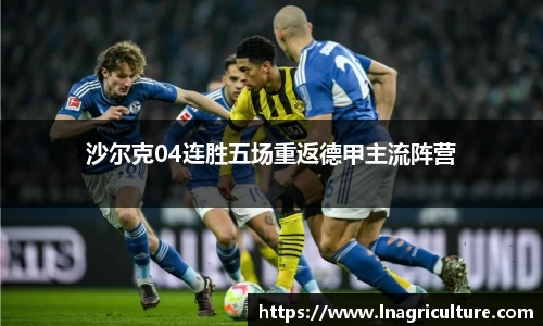 竞技宝JJB