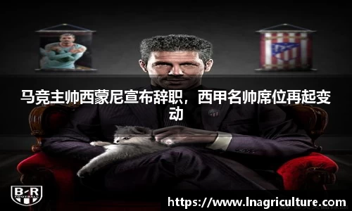 竞技宝JJB