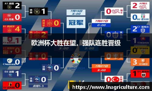 竞技宝JJB