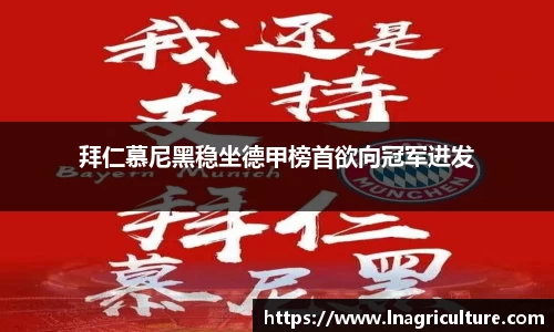 JJB竞技宝官网