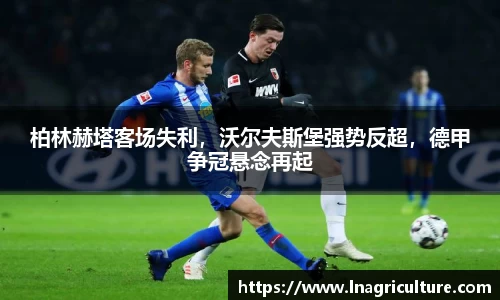 竞技宝JJB