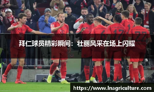 竞技宝官网