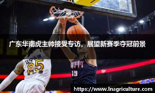 JJB竞技宝官网