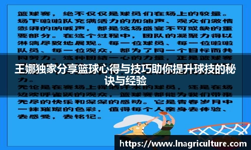 JJB竞技宝官网