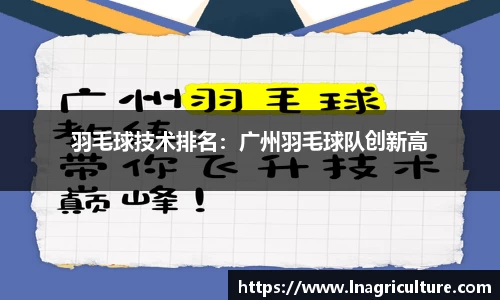 JJB竞技宝官网