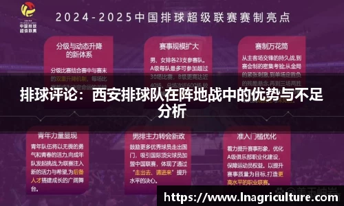 竞技宝官网