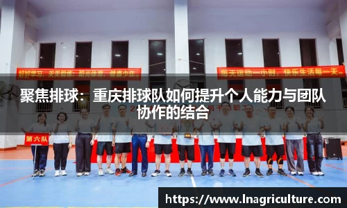 竞技宝官网