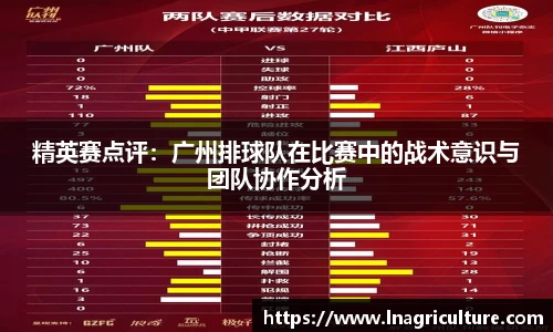 竞技宝JJB