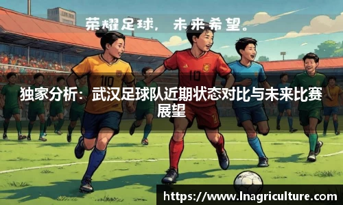 JJB竞技宝官网