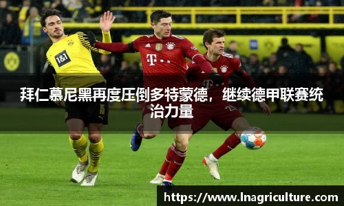 竞技宝JJB