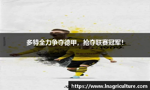 竞技宝JJB