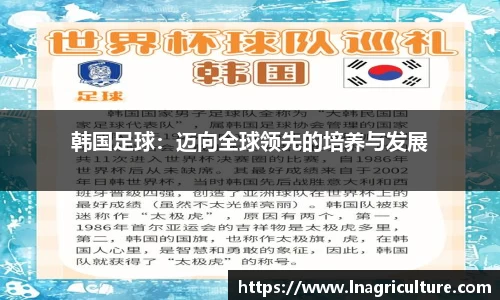 JJB竞技宝官网