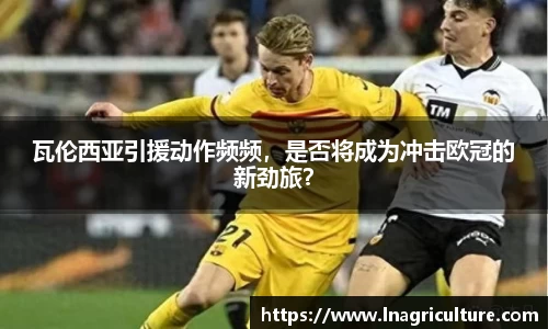 竞技宝JJB