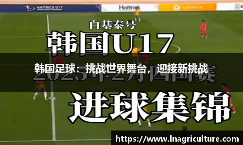 JJB竞技宝官网
