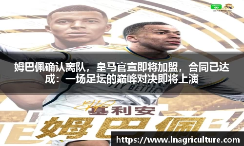 竞技宝官网