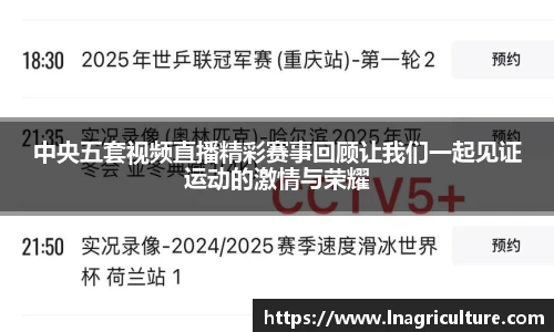 中央五套视频直播精彩赛事回顾让我们一起见证运动的激情与荣耀