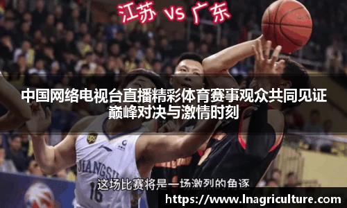 中国网络电视台直播精彩体育赛事观众共同见证巅峰对决与激情时刻