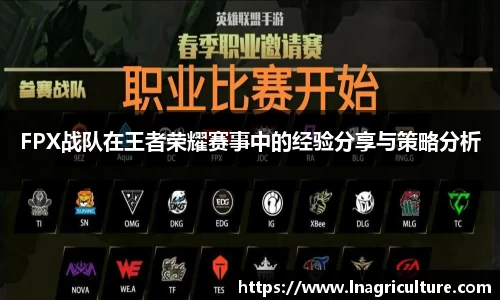 FPX战队在王者荣耀赛事中的经验分享与策略分析