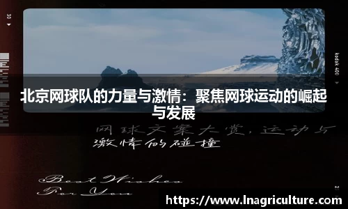 北京网球队的力量与激情：聚焦网球运动的崛起与发展