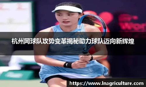 JJB竞技宝官网