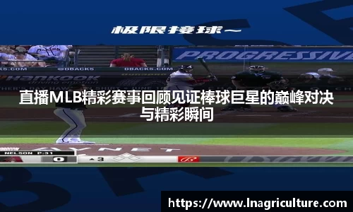 竞技宝官网