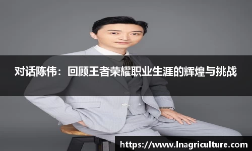 JJB竞技宝官网