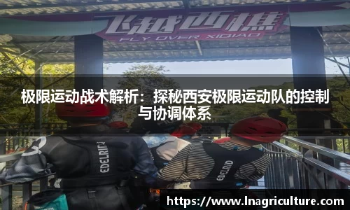 竞技宝官网