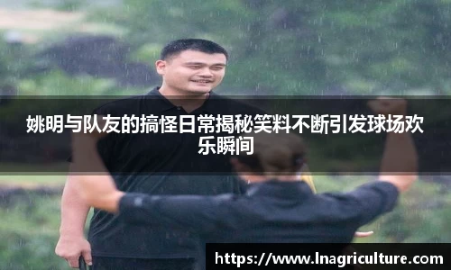 竞技宝JJB