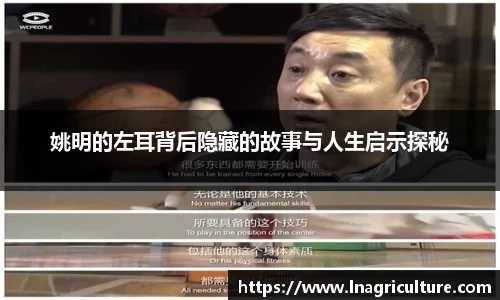 竞技宝JJB