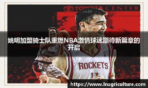 JJB竞技宝官网
