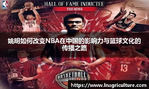 JJB竞技宝官网