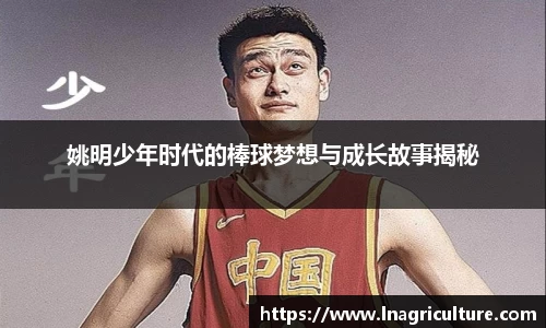 竞技宝官网