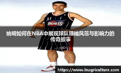 竞技宝JJB