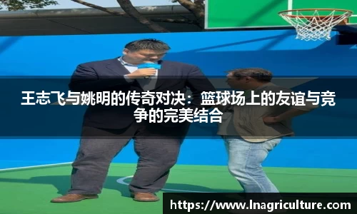 JJB竞技宝官网