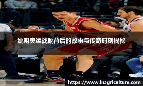 竞技宝JJB