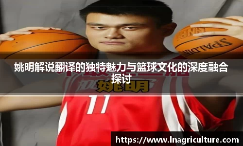 JJB竞技宝官网