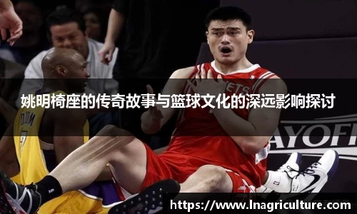 JJB竞技宝官网