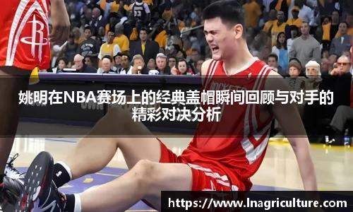 竞技宝JJB