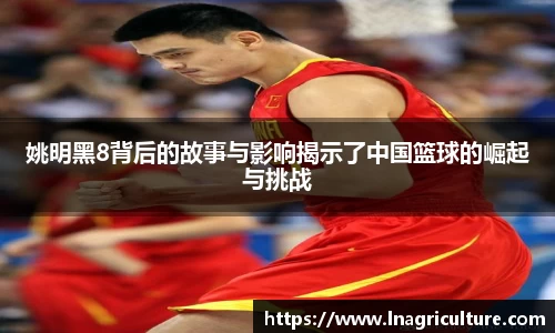 JJB竞技宝官网