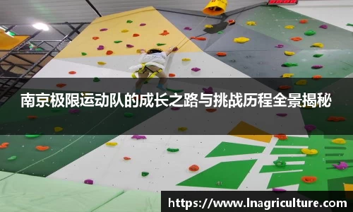 JJB竞技宝官网