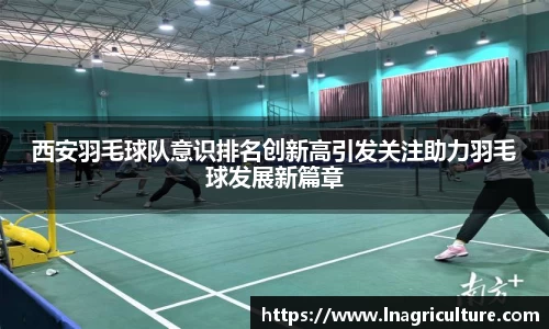 竞技宝JJB
