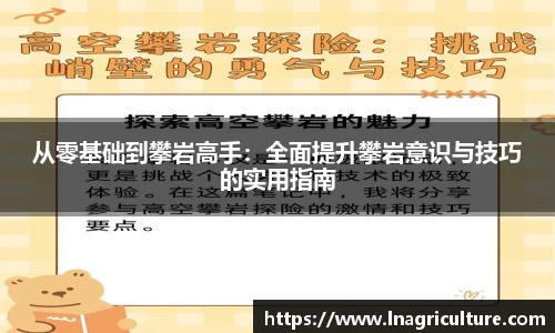 竞技宝官网
