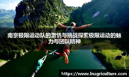 竞技宝JJB