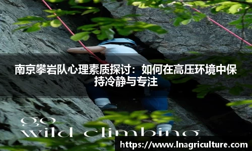 JJB竞技宝官网